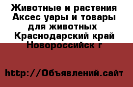 Животные и растения Аксесcуары и товары для животных. Краснодарский край,Новороссийск г.